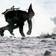 Photo Christophe L - FILM - La Planète des singes : 29284