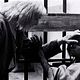 Photo Christophe L - FILM - L'Enfant sauvage : 29716