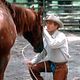 L'Homme qui murmurait a l'oreille des chevaux