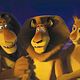 Madagascar 2