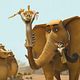 Photo - FILM - Madagascar 2 : la grande évasion : 108900