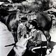 Rintintin : photo