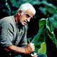 Photo Christophe L - FILM - L'Ainé des Ferchaux (TV) : 59851