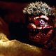Photo - FILM - Critters 2: The Main Course : 50155