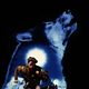 Affiche - FILM - Les Nouvelles Aventures de Croc-Blanc : 10704