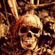 <b>Richard Donner</b> Photo : Les Goonies