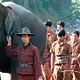 Photo - FILM - Sunny et l'éléphant : 134469
