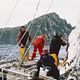 Tabarly