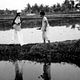 Photo - FILM - A Short Film about the Indio Nacional : 132344