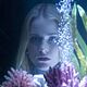 La Vie devant ses yeux : photo Evan Rachel Wood, Vadim Perelman