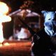 Photo - FILM - Mississippi burning : 30472