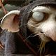 La Légende de Despereaux