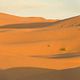 <b>Mike Newell</b> Photo : Prince of Persia : les sables du temps