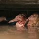 Photo - FILM - Eden Lake : 134327