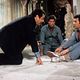 Un sacré bordel ! : photo Blake Edwards, Howie Mandel, Paul Sorvino, Ted Danson