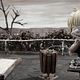 Photo - FILM - Mary and Max : 139621