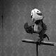 Mary et Max.