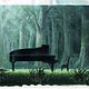 Piano Forest : photo Masayuki Kojima