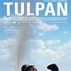 Tulpan