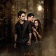 Affiche (autres) - FILM - Twilight - Chapitre 2 : tentation : 140991
