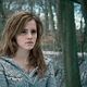 <b>David Yates, Emma Watson</b> Photo : Harry Potter et les reliques de la mort - partie 1