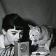 Le Journal d'Anne Frank