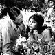Photo - FILM - Divorce à l'Italienne : 97129