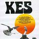 Affiche - FILM - Kes : 4551