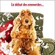 Affiche (autres) - FILM - Bambou : 137480