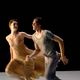 Photo - FILM - La Danse, le ballet de l'Opéra de Paris : 141826