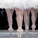 Photo - FILM - La Danse, le ballet de l'Opéra de Paris : 141826