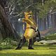 Photo - FILM - Shrek 4 : 57212