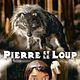 Affiche - FILM - Pierre et le loup : 144383