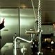 <b>Jean Reno, Kad Merad, Richard Berry</b> Photo : L'Immortel