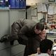 <b>Brian Baumgartner, Oscar Núñez, Rainn Wilson</b> Photo : The Office (US)