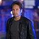 Californication : photo David Duchovny