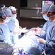 Dr House (Docteur House) : photo Jesse Spencer, Odette Annable, Peter Jacobson