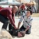 NCIS : Los Angeles : photo Daniel Dae Kim, LL Cool J
