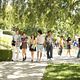 <b>Jessica Stroup, Michael Steger, Shenae Grimes, Trevor Donovan, Tristan Wilds</b> Photo : 90210 Beverly Hills Nouvelle Génération