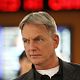 NCIS : Enquêtes spéciales : photo Mark Harmon