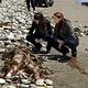 <b>Amanda Righetti, Robin Tunney</b> Photo : Mentalist