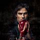 Vampire Diaries : photo Ian Somerhalder
