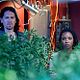 Shameless (US) : photo Shanola Hampton, Steve Howey