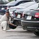 <b>Bruce Campbell</b> Photo : Burn Notice