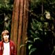 Photo - FILM - Charlie St. Cloud : 145329