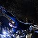 <b>Harry Potter et les reliques de la mort - partie 2</b> Photo 