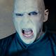 Harry Potter et les reliques de la mort - partie 2 : photo David Yates, Ralph Fiennes