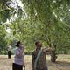 Oncle Boonmee (celui qui se souvient de ses vies antérieures) : photo Apichatpong Weerasethakul
