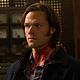 Supernatural : photo Jared Padalecki