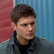 Supernatural : photo Jensen Ackles